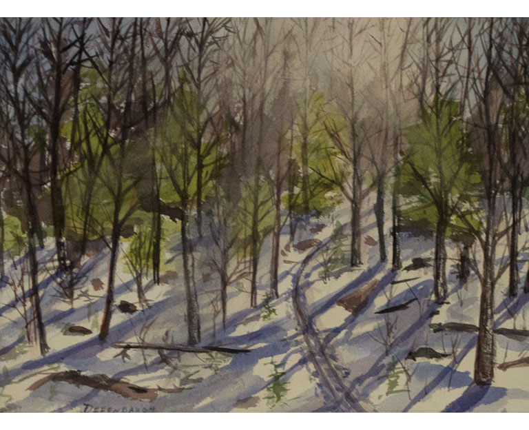Winter Ski