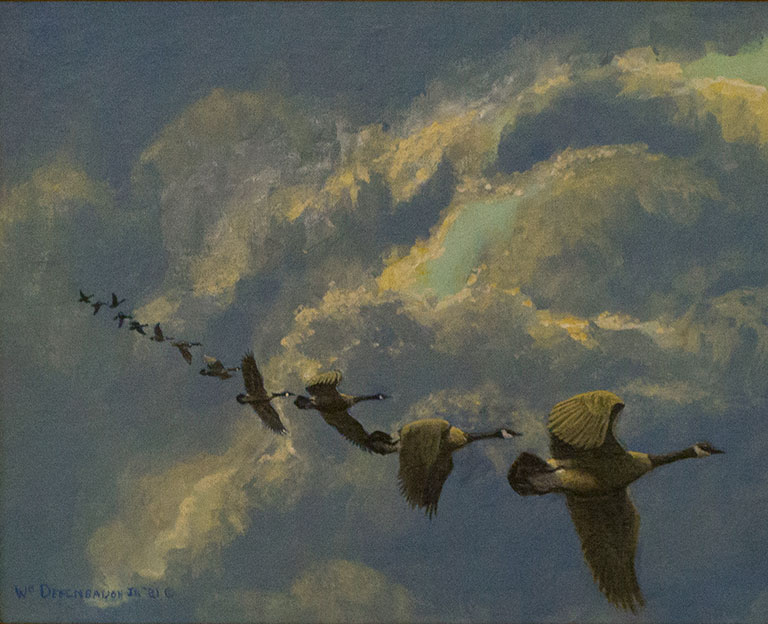 Geese Migration