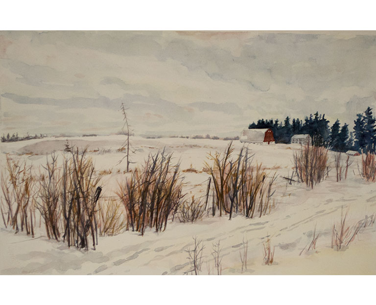 Minnesota Winter Field