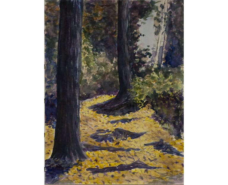 Cascade Path in Fall