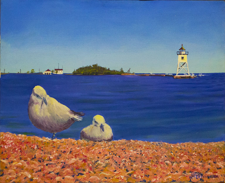 Grand Marais Gulls